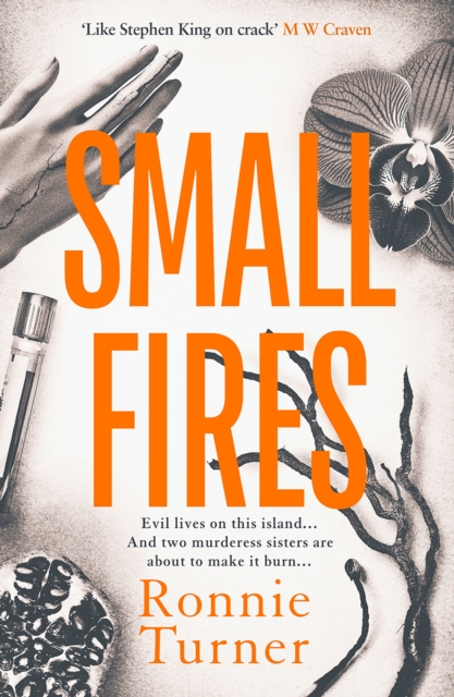 Small Fires